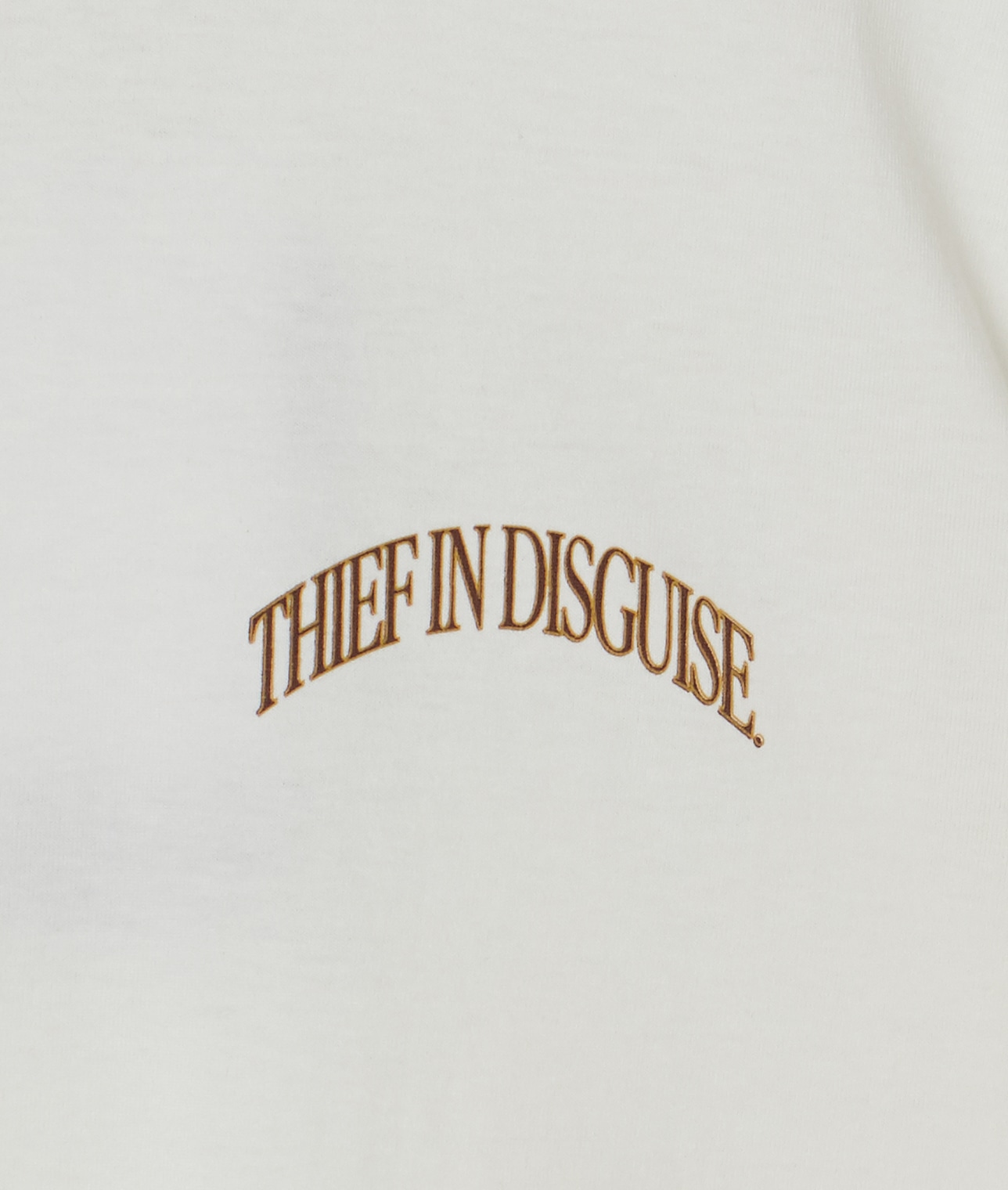 POMPEII/THIEF IN DISGUISE TEE 詳細画像 ホワイト 6