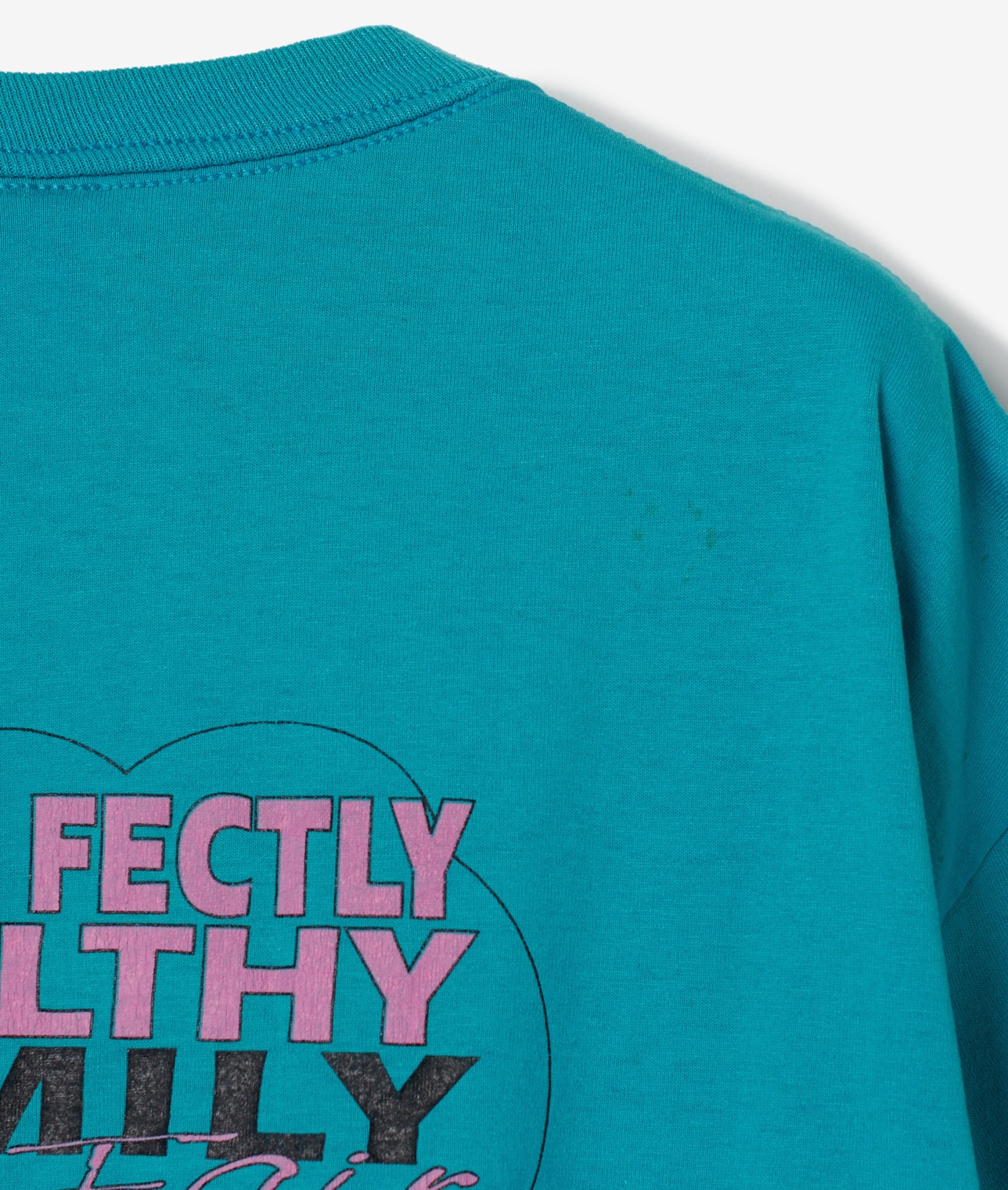 USED/PURR-FECTLY HEALTHYプリントTシャツ 詳細画像 ブルー 3