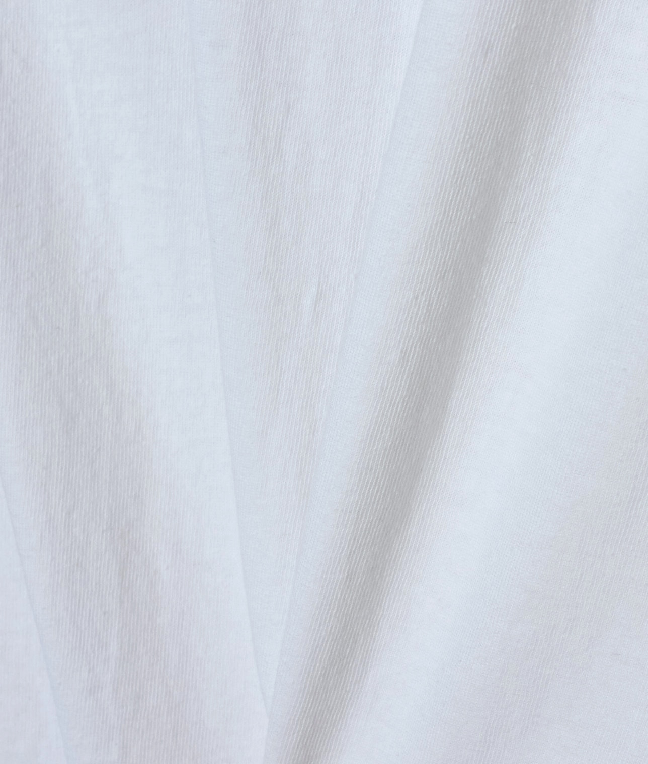 【予約】【別注】FRUIT OF THE LOOM/ロゴ刺繍パックT(2枚セット) 詳細画像 White×Black 7